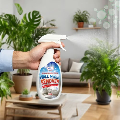 Fast-Acting Anti-Mould Wall Cleaner Spray