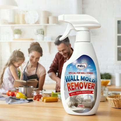 Fast-Acting Anti-Mould Wall Cleaner Spray