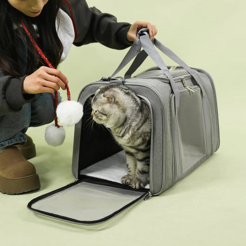 Large Foldable Mesh Cat Carrier