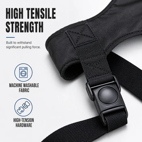 Wheelchair Safety Strap