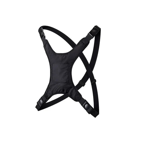 Wheelchair Safety Strap
